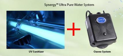 Synergy Uştra Pure Water